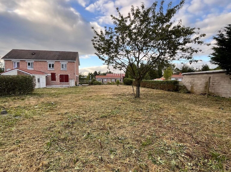 Jardin après travaux