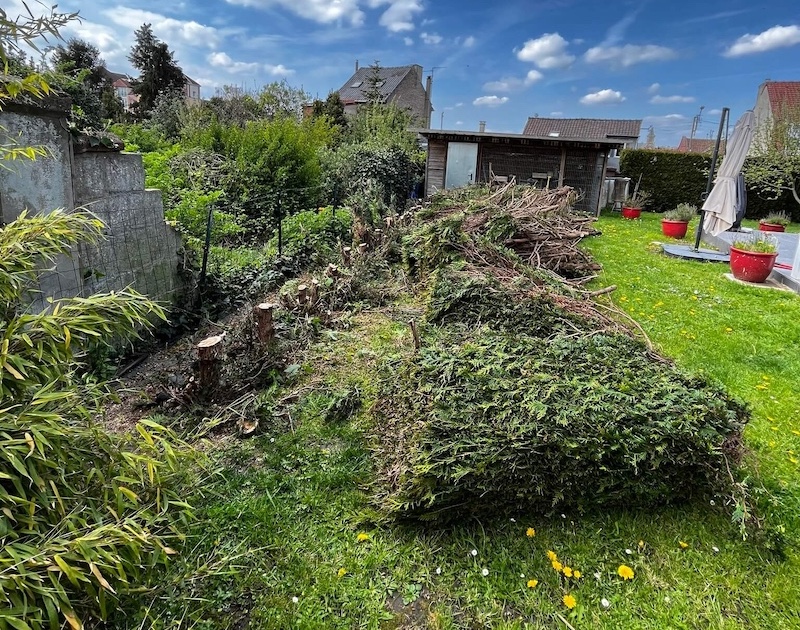 Travaux d'élagage